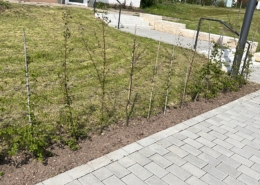 3A652C3C-C90B-4FB2-8E98-9A6581414AF2