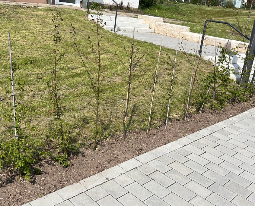 3A652C3C-C90B-4FB2-8E98-9A6581414AF2